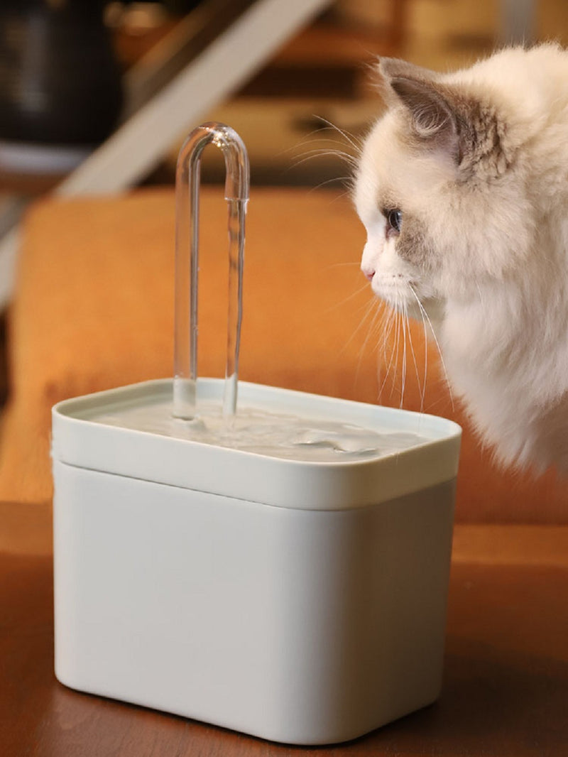 Quenching Kitty's Thirst: The Ultimate Guide to Choosing and Using Automatic Cat Water Fountains for a Hydrated and Happy Feline