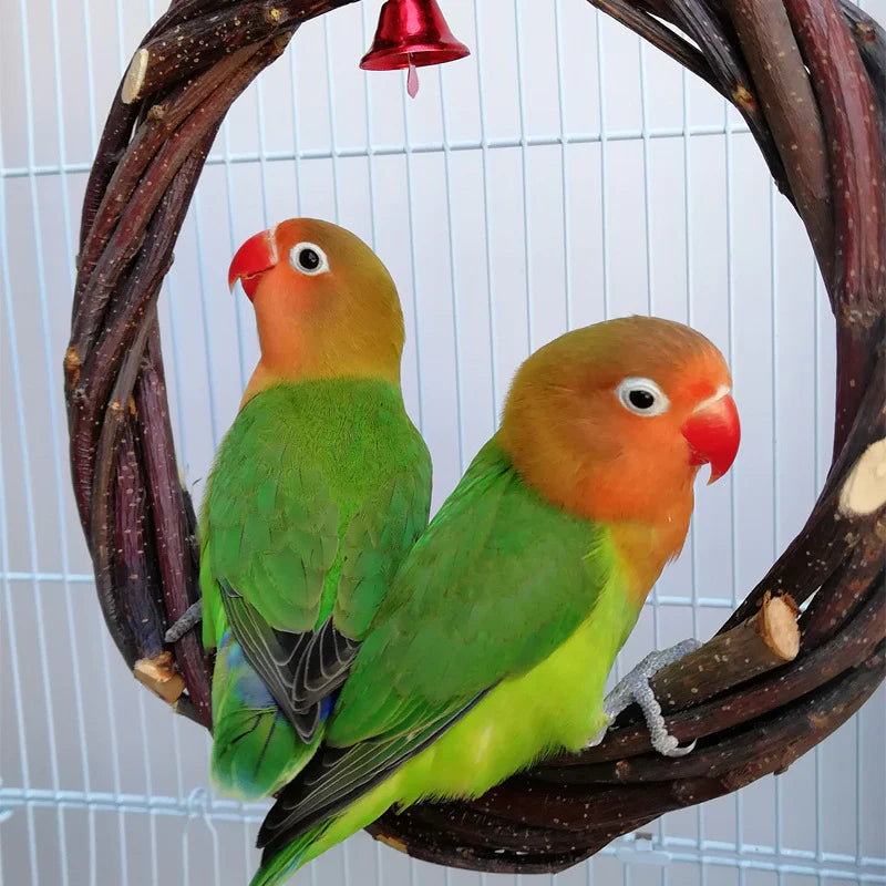 Unveiling the Irresistible Appeal of Lush Homing Bird Standing Frame Rattan Ring Chewing Toy for Your Bird Cage