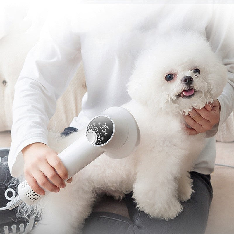 Smart Pet Hair Dryer Dog