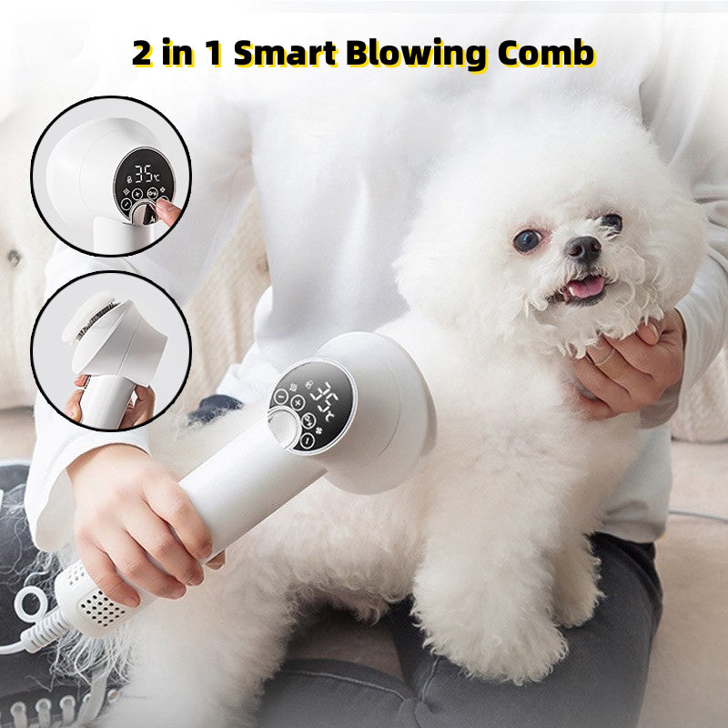 Smart Pet Hair Dryer Dog